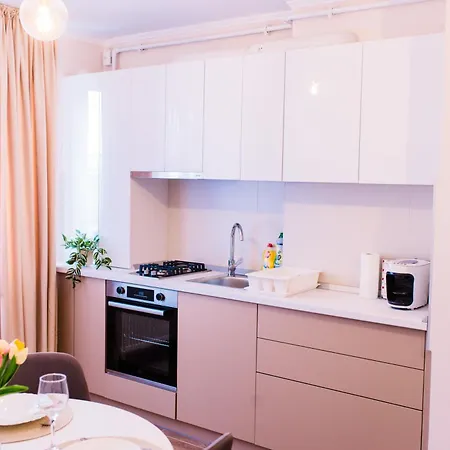 Central White Apartment Satu Mare Exterior photo
