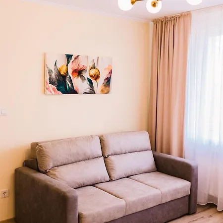 Central White Apartment Satu Mare Exterior photo