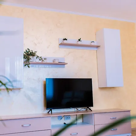 Central White Apartment Satu Mare Exterior photo