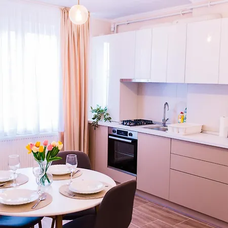 Central White Apartment Satu Mare Exterior photo