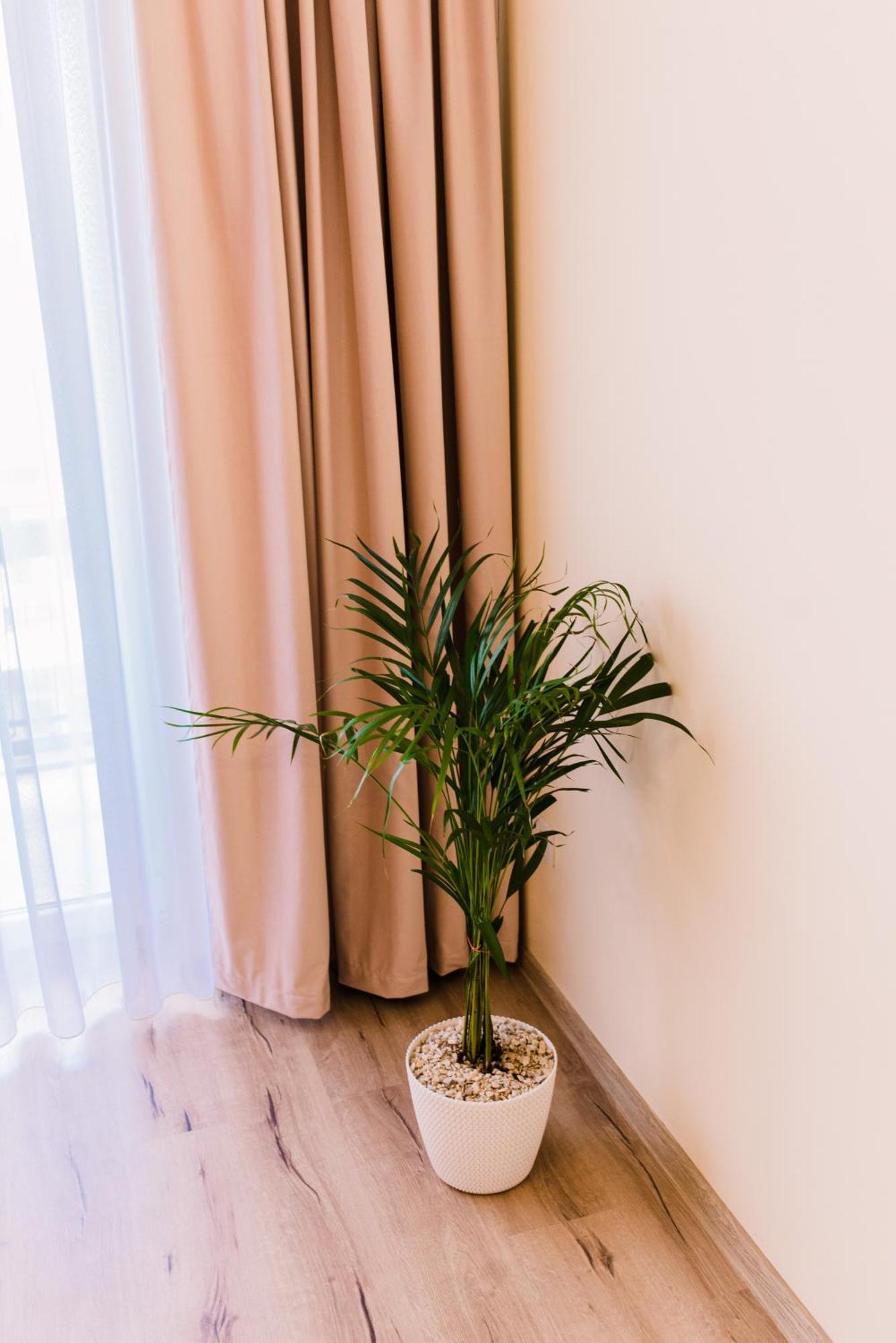 White Apartment *